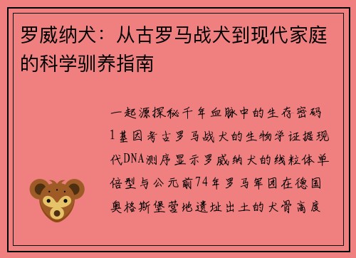 罗威纳犬：从古罗马战犬到现代家庭的科学驯养指南