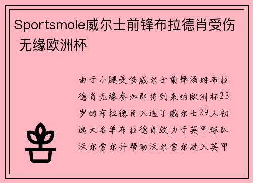 Sportsmole威尔士前锋布拉德肖受伤 无缘欧洲杯